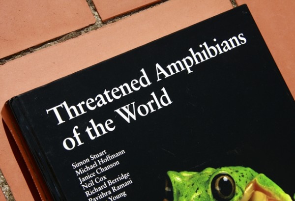 Threatened Amphibians of the World | EFONTS